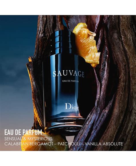 macy's Dior sauvage gift set